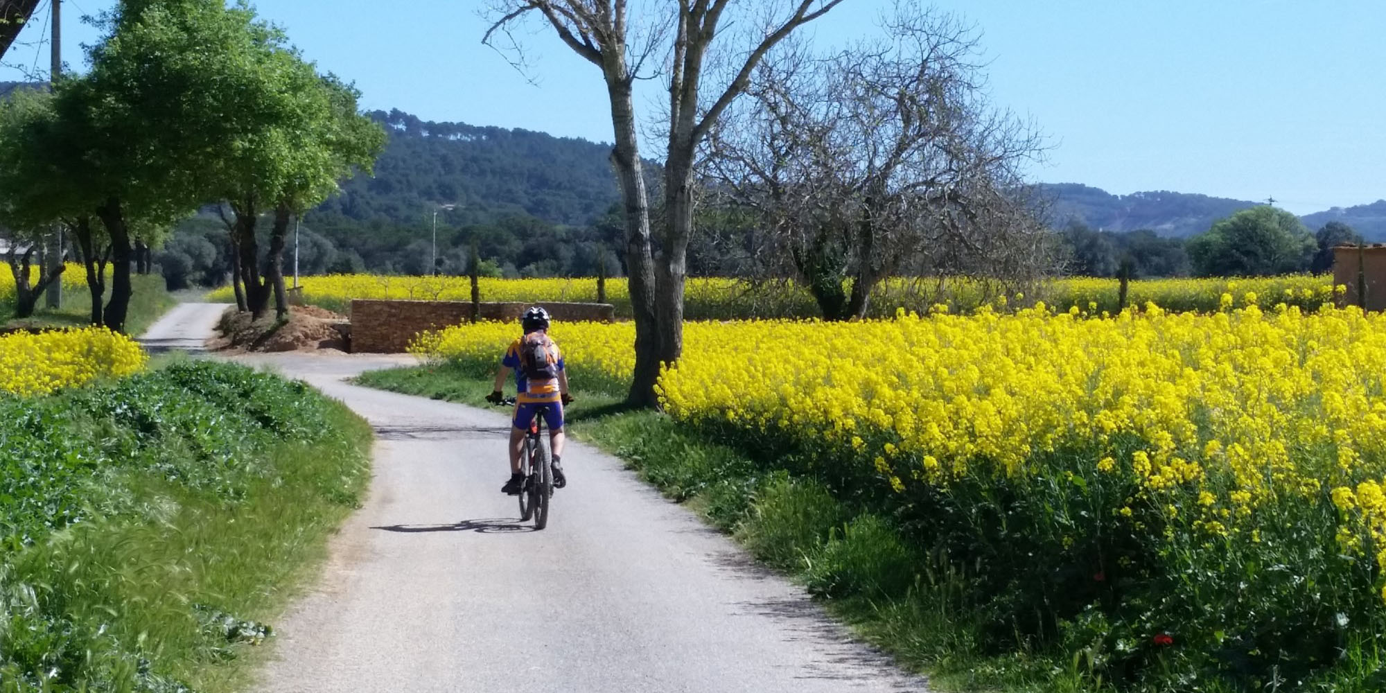 Location de vélos : itinéraires pour tout le monde